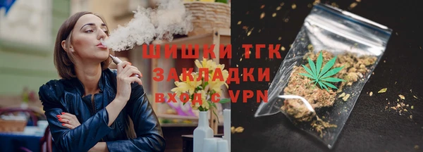 крисы Верхний Тагил