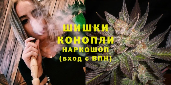 гашик Верея