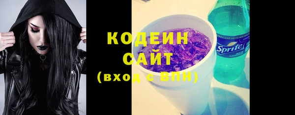 крисы Верхний Тагил