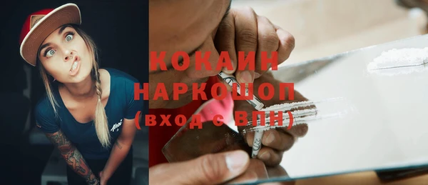 гашик Верея