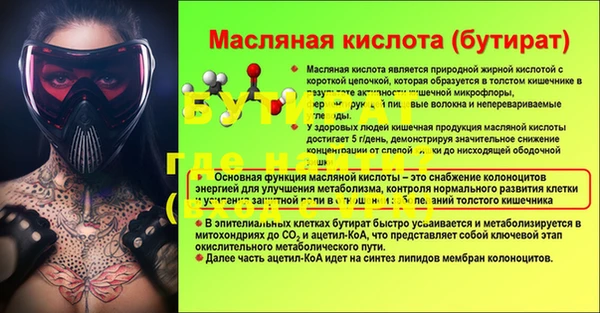 гашик Верея