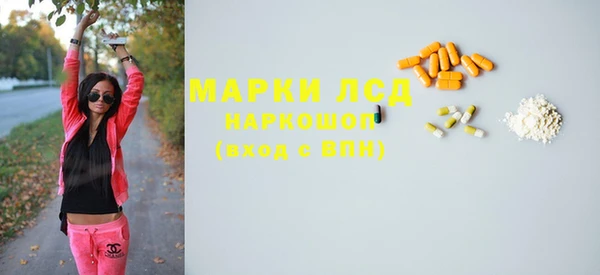 гашик Верея