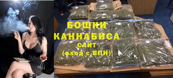 гашик Верея