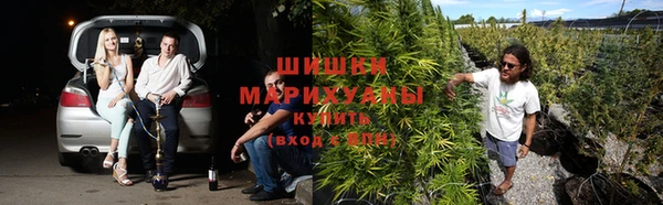 крисы Верхний Тагил