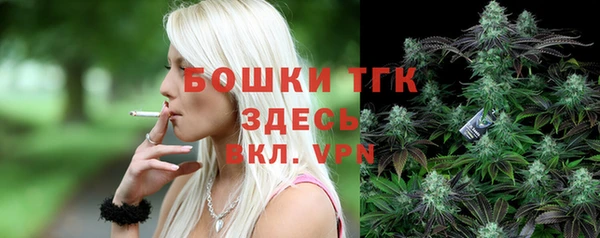 крисы Верхний Тагил