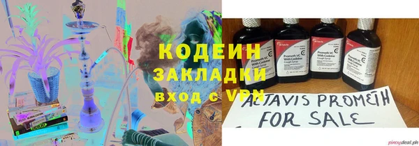 гашик Верея