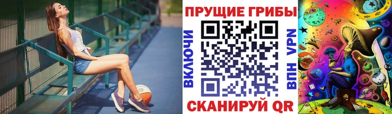 Галлюциногенные грибы Psilocybe  купить  цена  Северобайкальск 